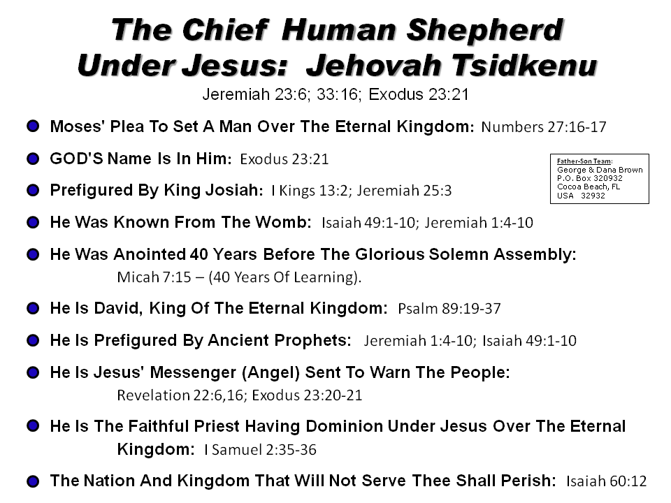 References For The Chief Human Shepherd To Reign Under Jesus Christ